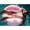 Rae Dunn 4ft. Pretty in Pink Flamingo Pattern Ring Float